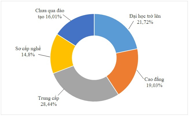 Thị trường lao động TP.HCM: tuyển người tốt nghiệp trung cấp nhiều hơn đại học - ảnh 1