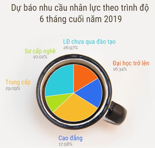 nhu cầu năng lực theo trình độ